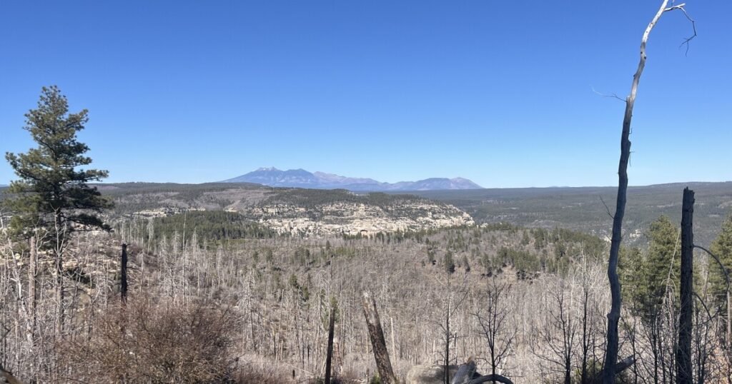 Dry winter, spring heat set northern Arizona up for early fire season