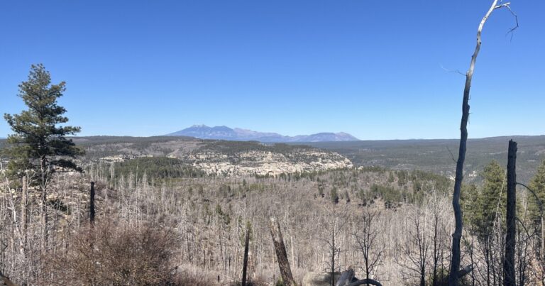 Dry winter, spring heat set northern Arizona up for early fire season