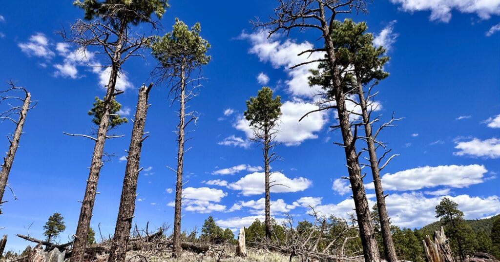 Scott Thybony's Canyon Commentary: Tornado Outbreak