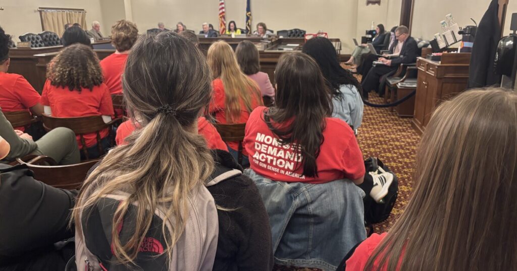 Proposed licensing for Michigan gun dealers draws debate at the state Capitol