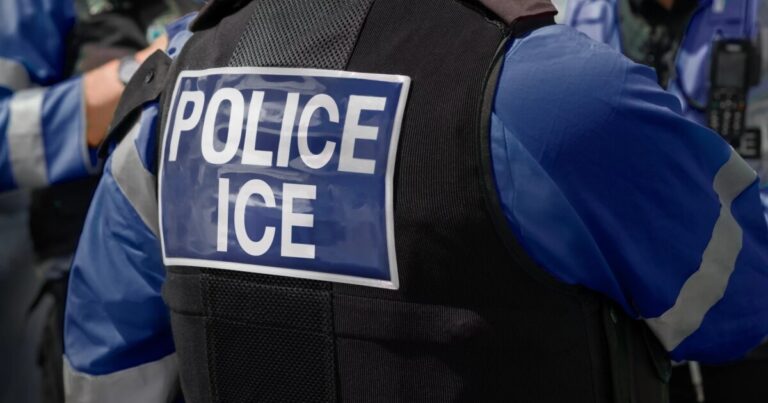 Michigan Supreme Court approves rule banning civil arrests, including by ICE, at legal proceedings
