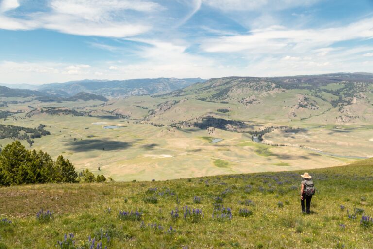 Montanans love public lands: So what?