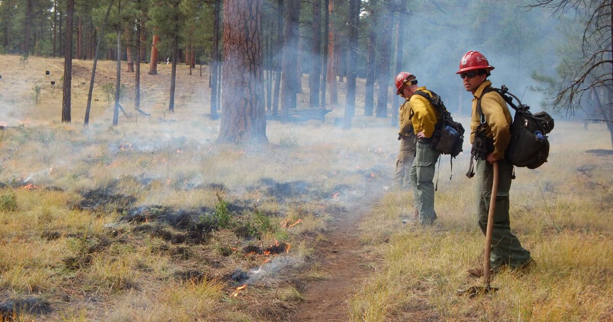 Federal wildland fire crews could get hazard pay for prescribed burns