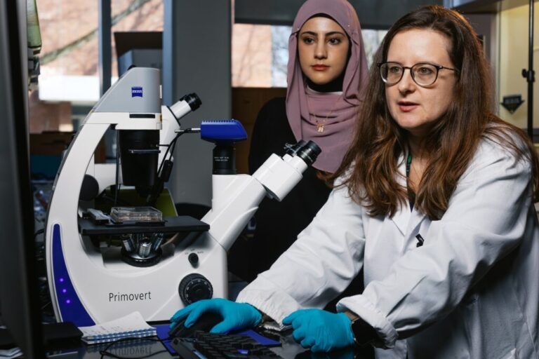 Wiam Almahdi, a junior at UM-Dearborn, and Professor Besa Xhabija look thorugh a microscope in Xhabija’s lab.