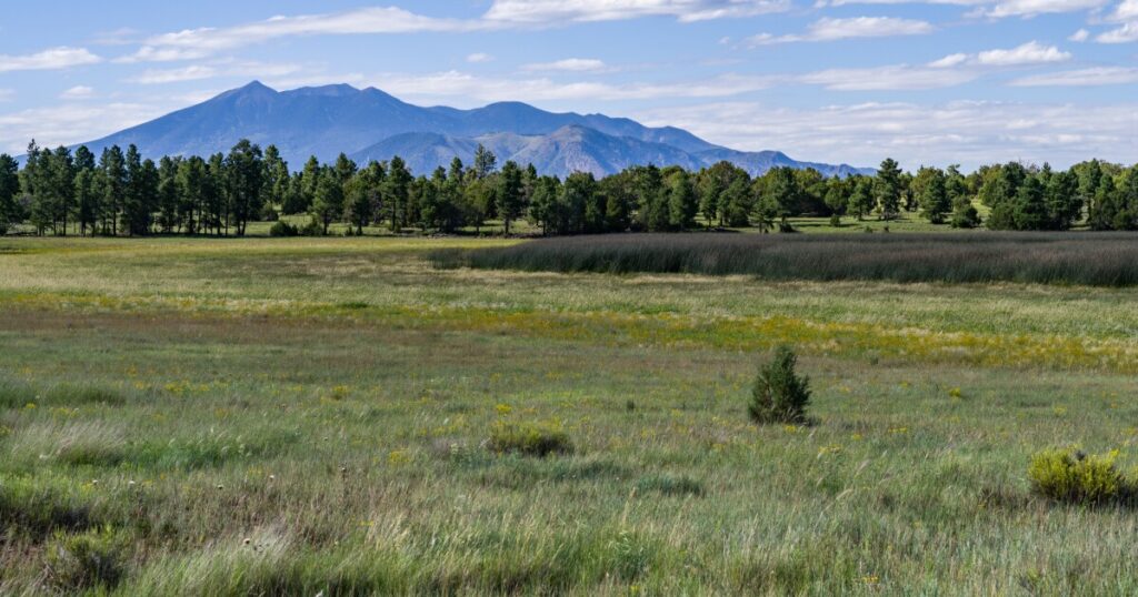 Flagstaff research site untouched as Forest Service closes dozens of labs