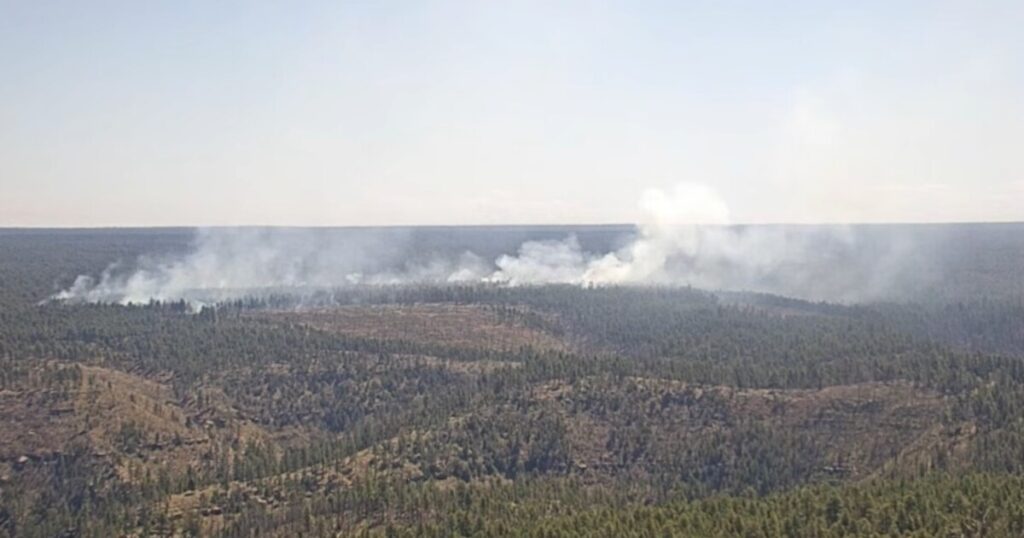 Crews working to contain wildfire near Mogollon Rim