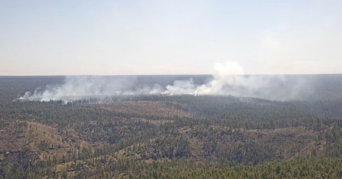 Crews working to contain wildfire near Mogollon Rim