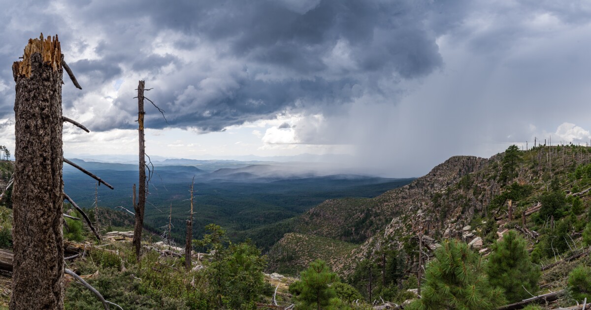Exploring Cloud Seedings Impact on Arizonas Snowpack and Water Supply - Kitchen Table News Cloud Seeding Over Mingus Mountain
