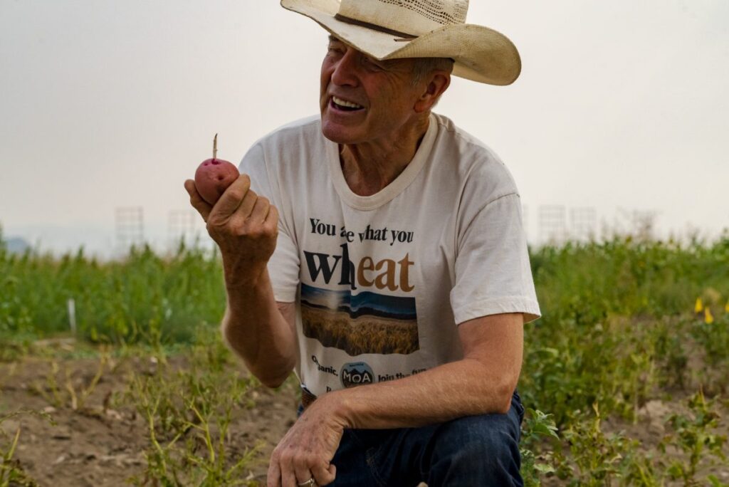 Bob Quinn farm Big Sandy Montana