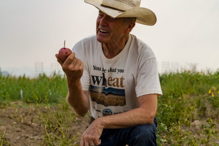 Bob Quinn farm Big Sandy Montana