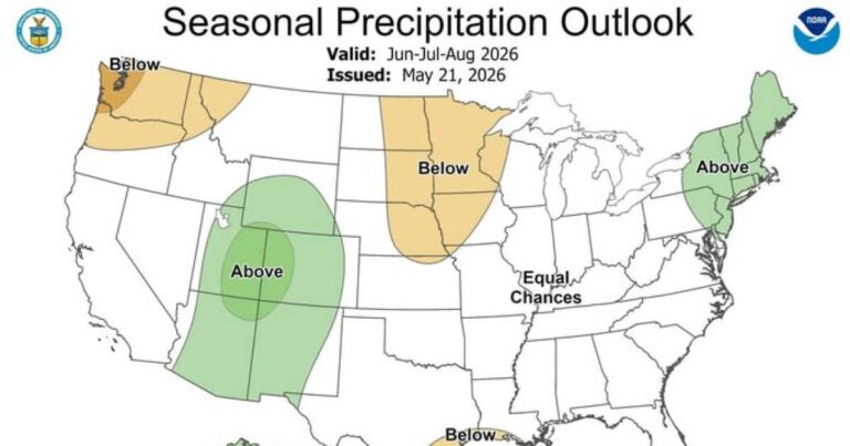 'Super El Niño' could bring heavy monsoon rain. What does that mean for Arizona wildfire risk?