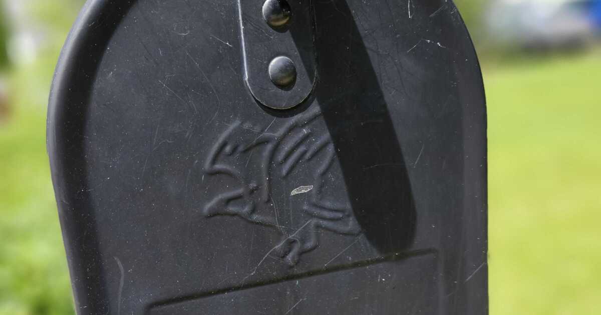 New Bill Aims to Reinstate Ban on Mailing Handguns via - Kitchen Table News Rep. Stevens, Congressional Dems fight plans to allow mailing of handguns
