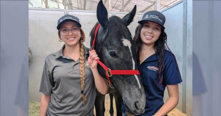 University of Arizona Program Spurs Careers in Horse Racing Industry University of Arizona Program Spurs Careers in Horse Racing Industry