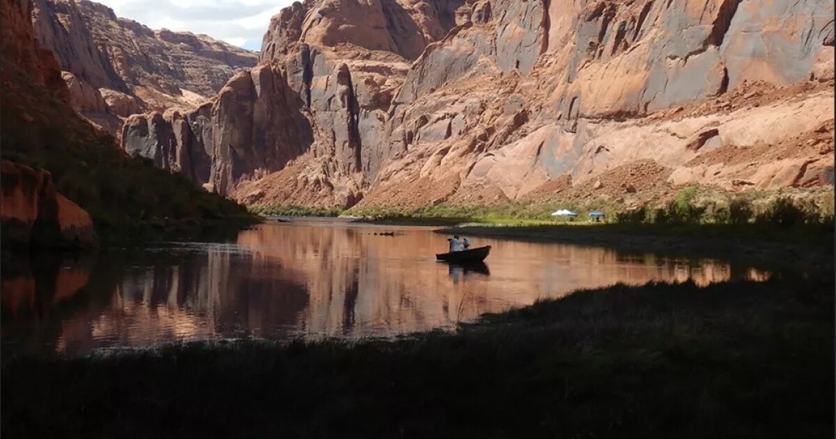 Efforts to Restore Minus-12-Mile Sloughs Ecosystem near Glen Canyon - Kitchen Table News Earth Notes: Reworking Glen Canyon's Slough