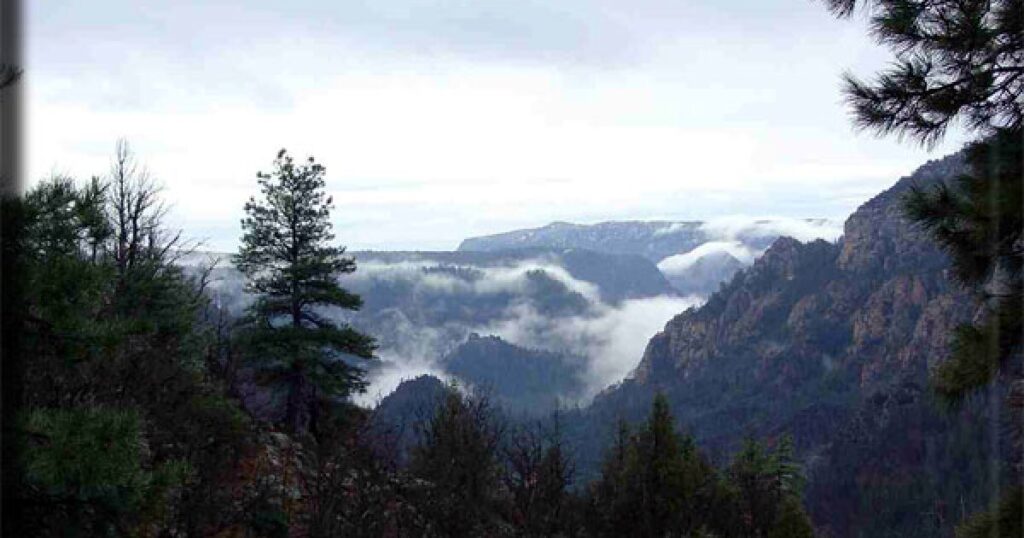 Latest on the Arizona wildfire near Oak Creek Canyon