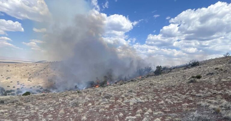 Activity on wildfire north of the San Francisco Peaks diminishes
