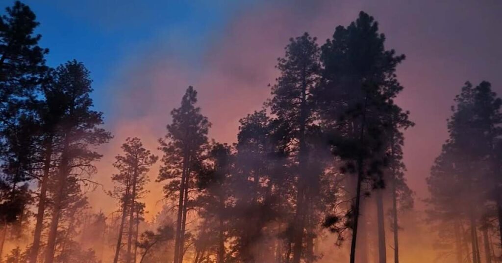 Pocket Fire surpasses 638 acres as crews prep for windy conditions