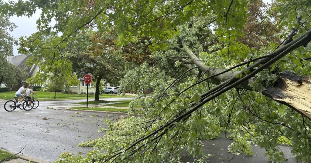 FAQs and what to do in case of severe weather