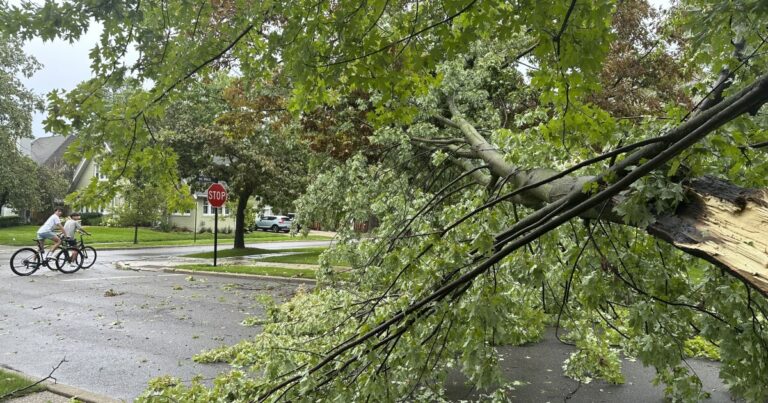 FAQs and what to do in case of severe weather