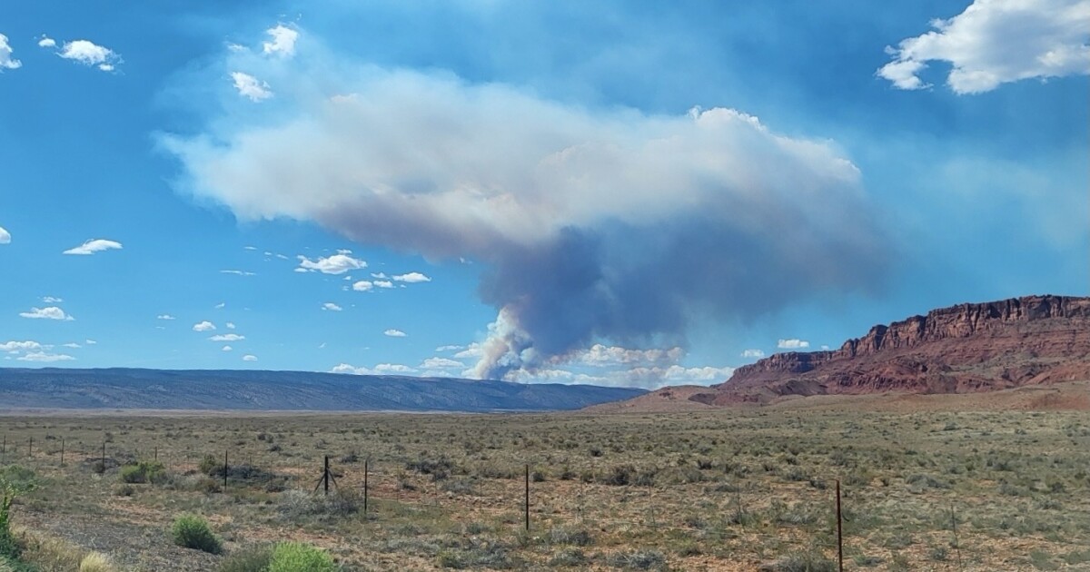 Rock Canyon Fire Grows to 2200 Acres Near Utah-Arizona State - Kitchen Table News Rock Canyon Fire grows near the Utah-Arizona state line