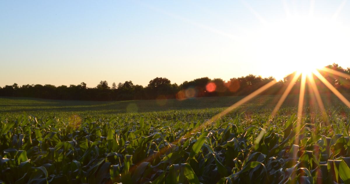 Michigan Farmers Union says Supreme Court Roundup ruling endangers the state's farmers