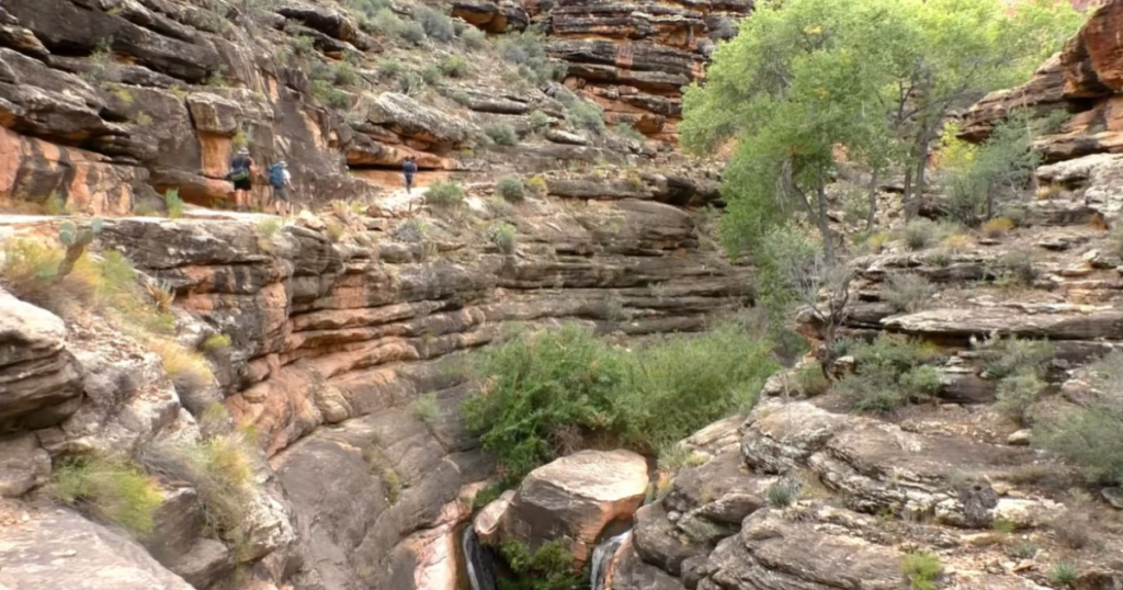 18-year-old hiker dies after heat distress call on Grand Canyon trail