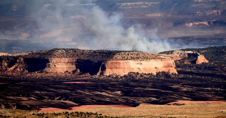 Three Firefighters Perish in Colorado Wildfire, Including Arizona Native Three Firefighters Perish in Colorado Wildfire, Including Arizona Native