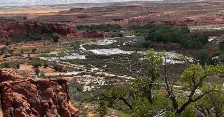 Hopi leaders declare emergency following Moenkopi flooding