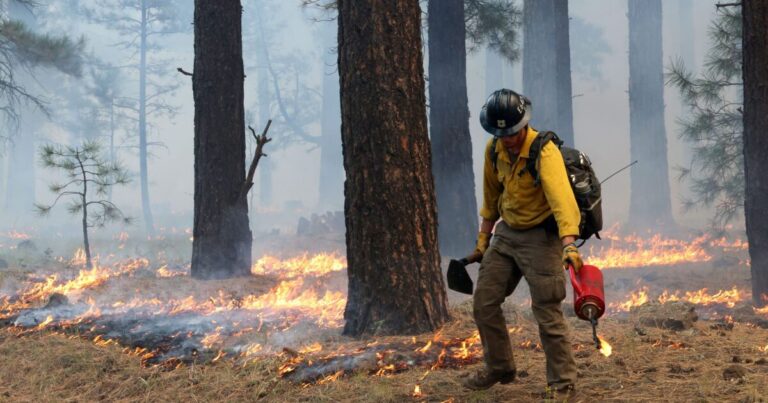 Sen. Kelly’s Bill Seeks Clean Air Act Exemption for Prescribed Burns Sen. Kelly’s Bill Seeks Clean Air Act Exemption for Prescribed Burns