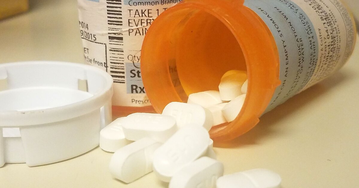 Study Links Opioid Withdrawal to Myelin Damage and Behavioral Changes - Kitchen Table News Opioid withdrawal impacts gene regulation, ASU study finds