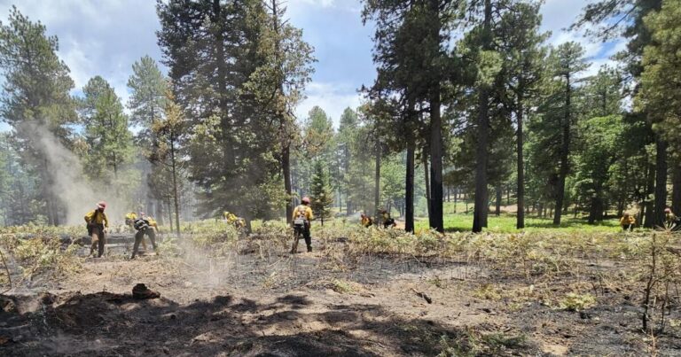 Arizona’s Mild Fire Year Amid Record Wildfires in Northwest States