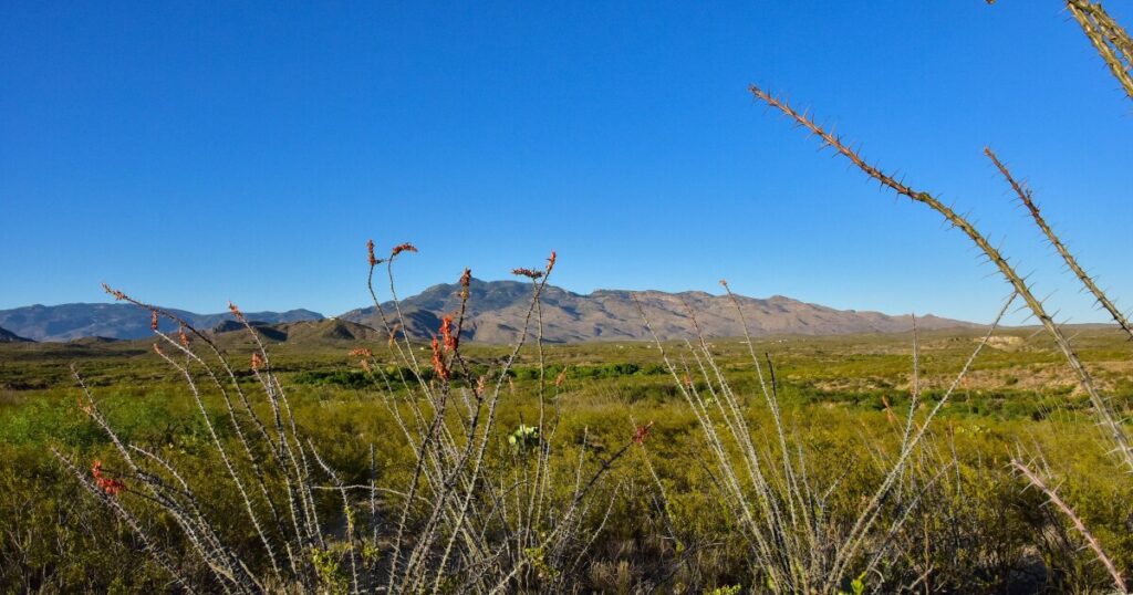 Forest Service Proposes Lifting Roadless Rule, Sparking Conservation Debate