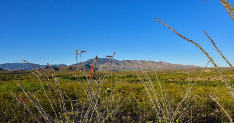 Forest Service Proposes Lifting Roadless Rule, Sparking Conservation Debate