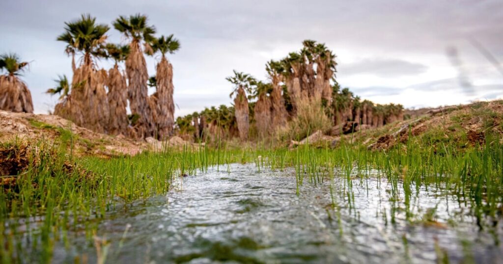 Hualapai Tribe Opposes Data Centers Citing Water Shortage Concerns