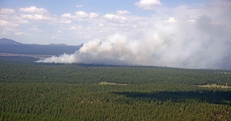 Lightning-Caused Americana Fire Burns 95 Acres at Camp Navajo, Arizona