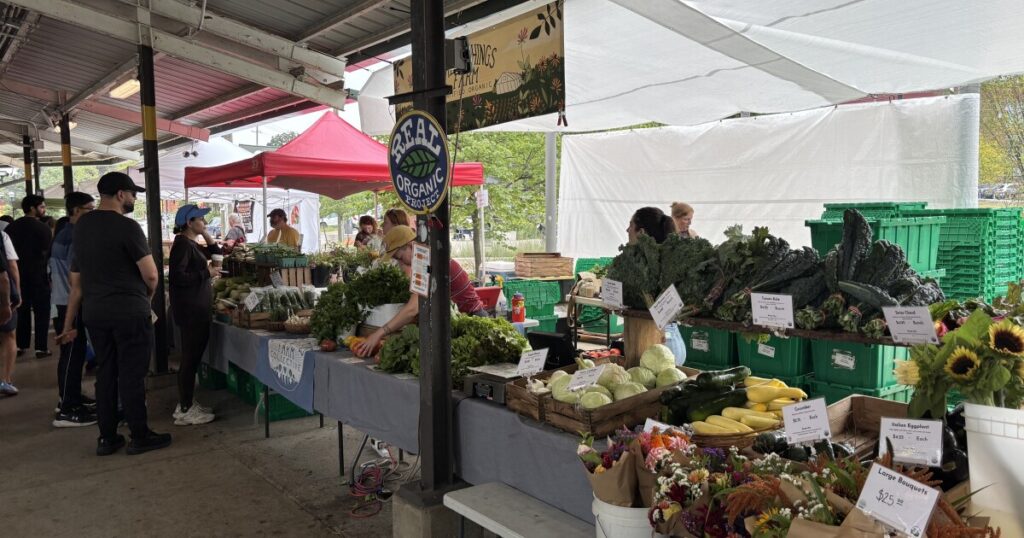 Local Farms Thrive Amid Michigan’s Cyclosporiasis Lettuce Outbreak