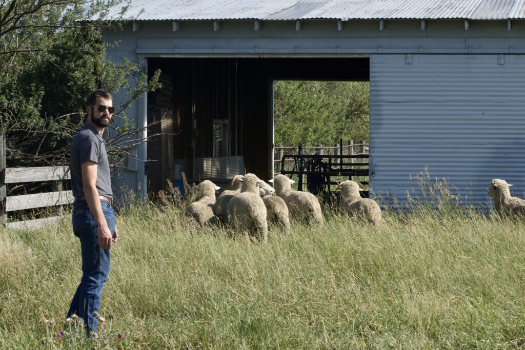 Montana Wool Lab Aims to Revitalize Wool Industry and Inspire Students