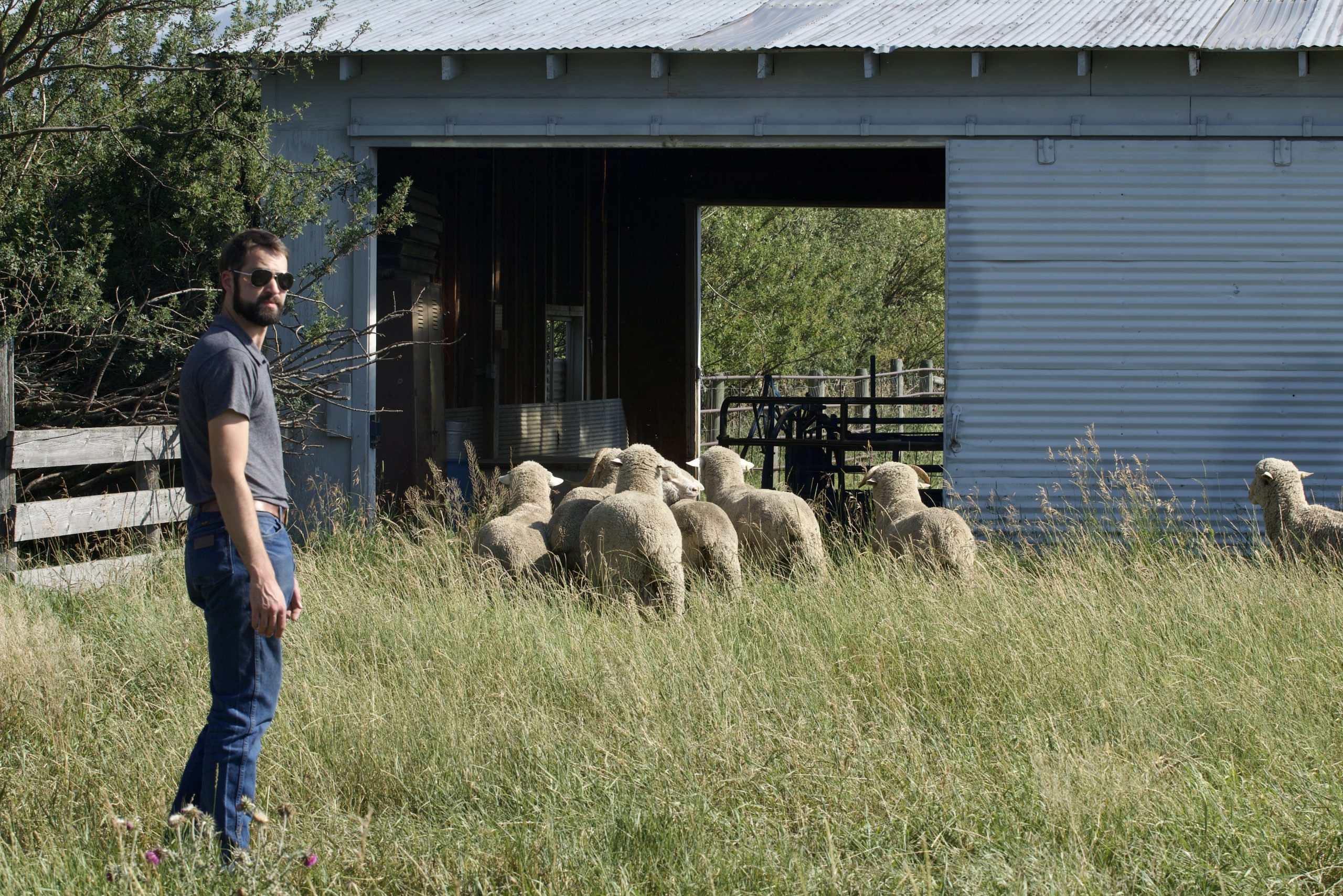 Montana Wool Lab Aims to Revitalize Wool Industry and Inspire Students Montana Wool Lab Aims to Revitalize Wool Industry and Inspire Students