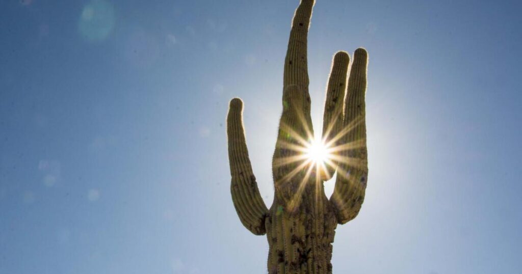 Phoenix’s Future: Summers Could Mirror Saudi Arabia by 2100
