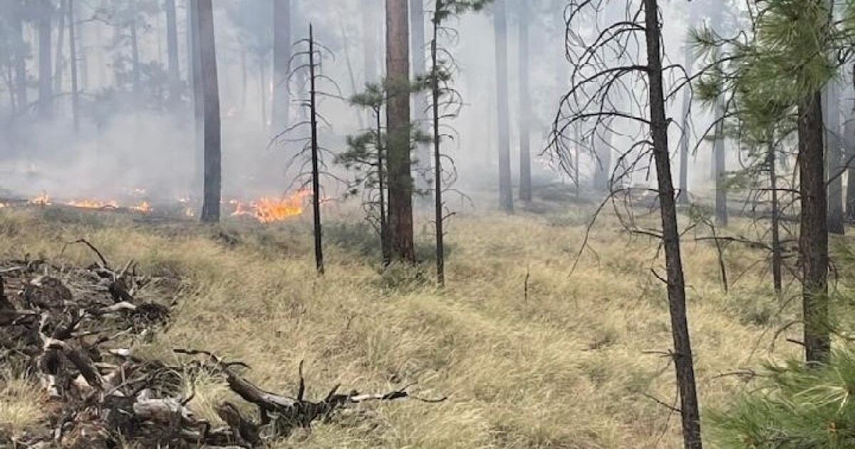 Research Reveals Historical Patterns of Extensive Wildfires in Arizona Research Reveals Historical Patterns of Extensive Wildfires in Arizona