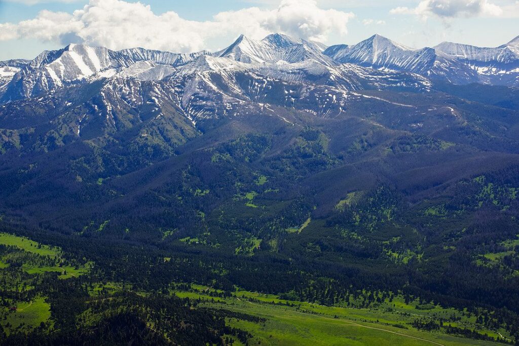 Trump Administration Seeks to Repeal Roadless Rule for Forest Development
