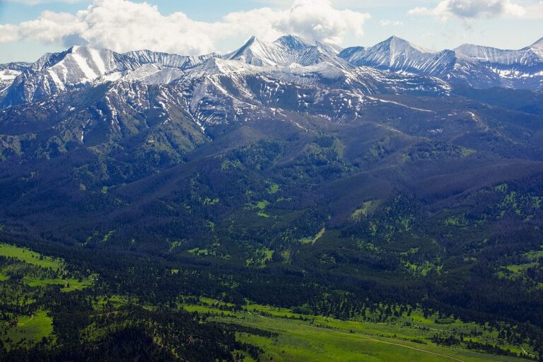 Trump Administration Seeks to Repeal Roadless Rule for Forest Development