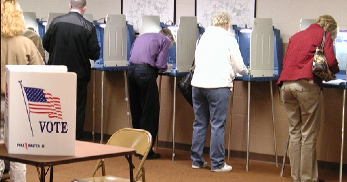 Americans for Citizen Voting Seeks Transparency in Ballot Process