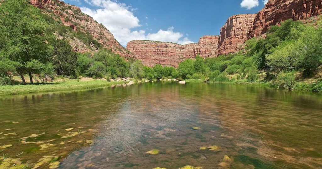 Arizona Approves Tier 3 Protections for Upper Verde River and Sycamore Creek