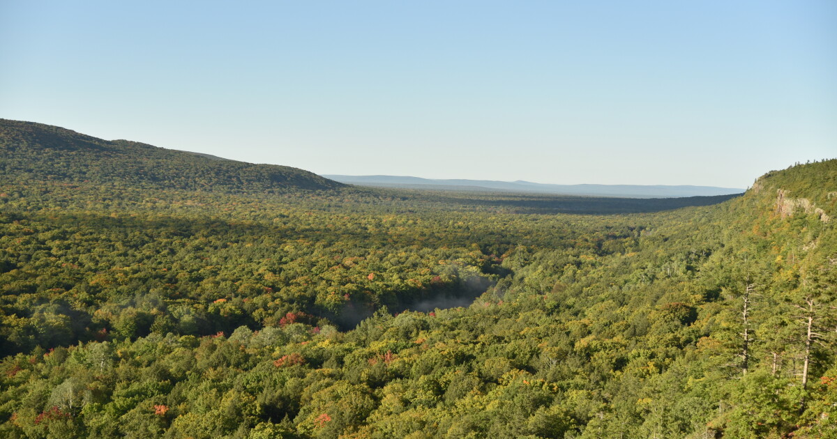 Court Challenge Seeks to Block Michigan’s M Grant for Copper Mine Court Challenge Seeks to Block Michigan’s M Grant for Copper Mine