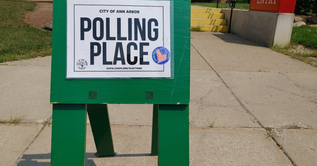 Michigan Voter ID Amendment Hits Roadblock, Courts Reject Ballot Bid Michigan Voter ID Amendment Hits Roadblock, Courts Reject Ballot Bid