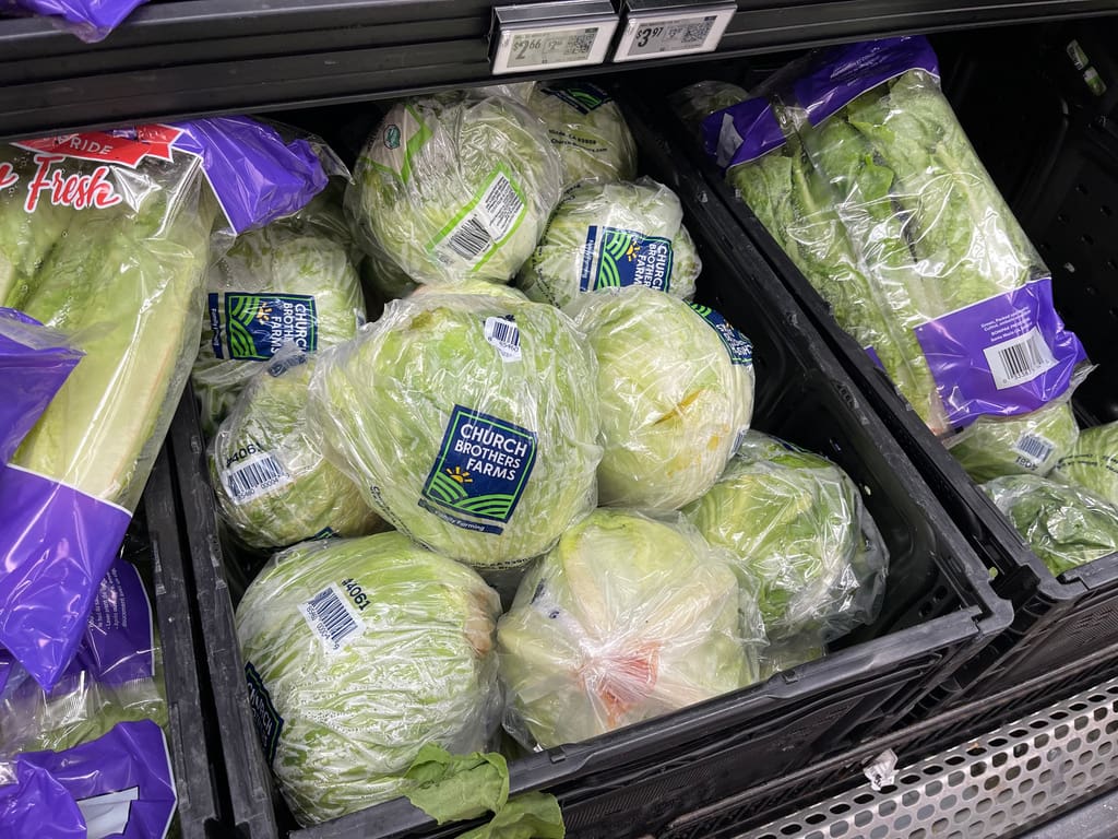Report Links Foodborne Illness Surge to Trump Administration Policies Report Links Foodborne Illness Surge to Trump Administration Policies