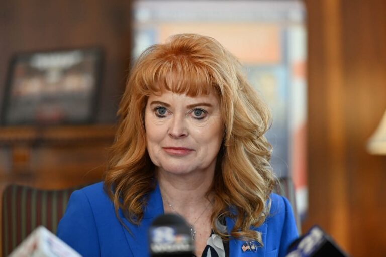 Stacy Garrity’s Role in Controversial Corporate Practices and Politics