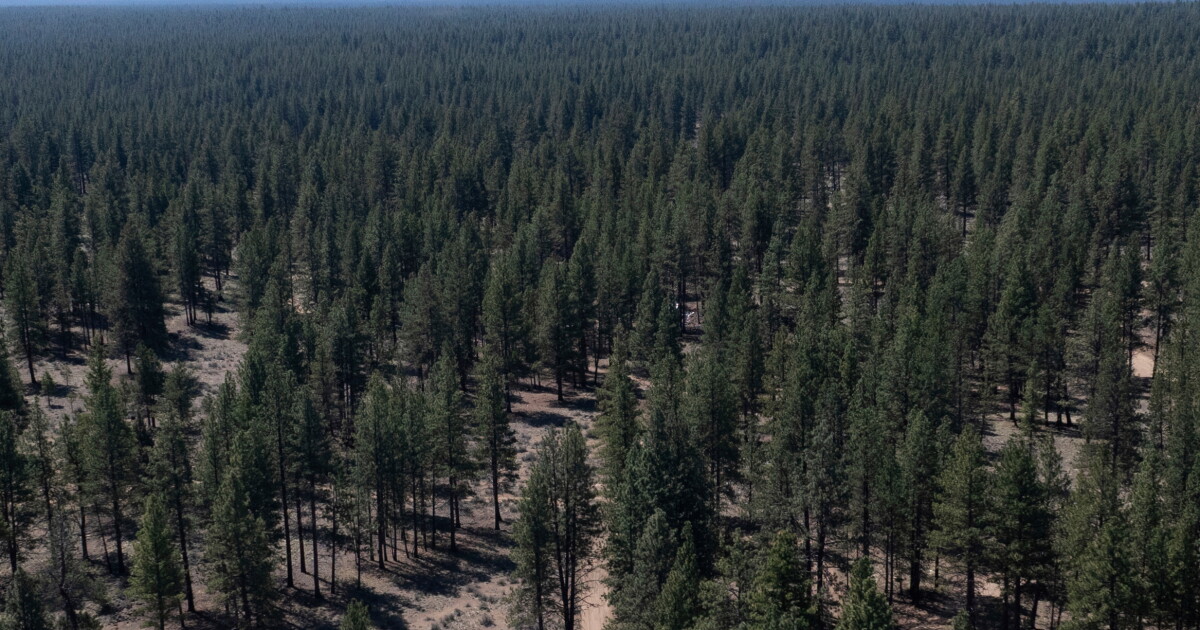 U.S. Forest Service Closes 23 Research Sites in Major Reorganization U.S. Forest Service Closes 23 Research Sites in Major Reorganization