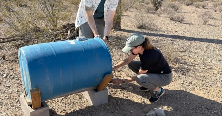 Migrant Deaths Remain High Despite Fewer Crossings in Sonoran Desert